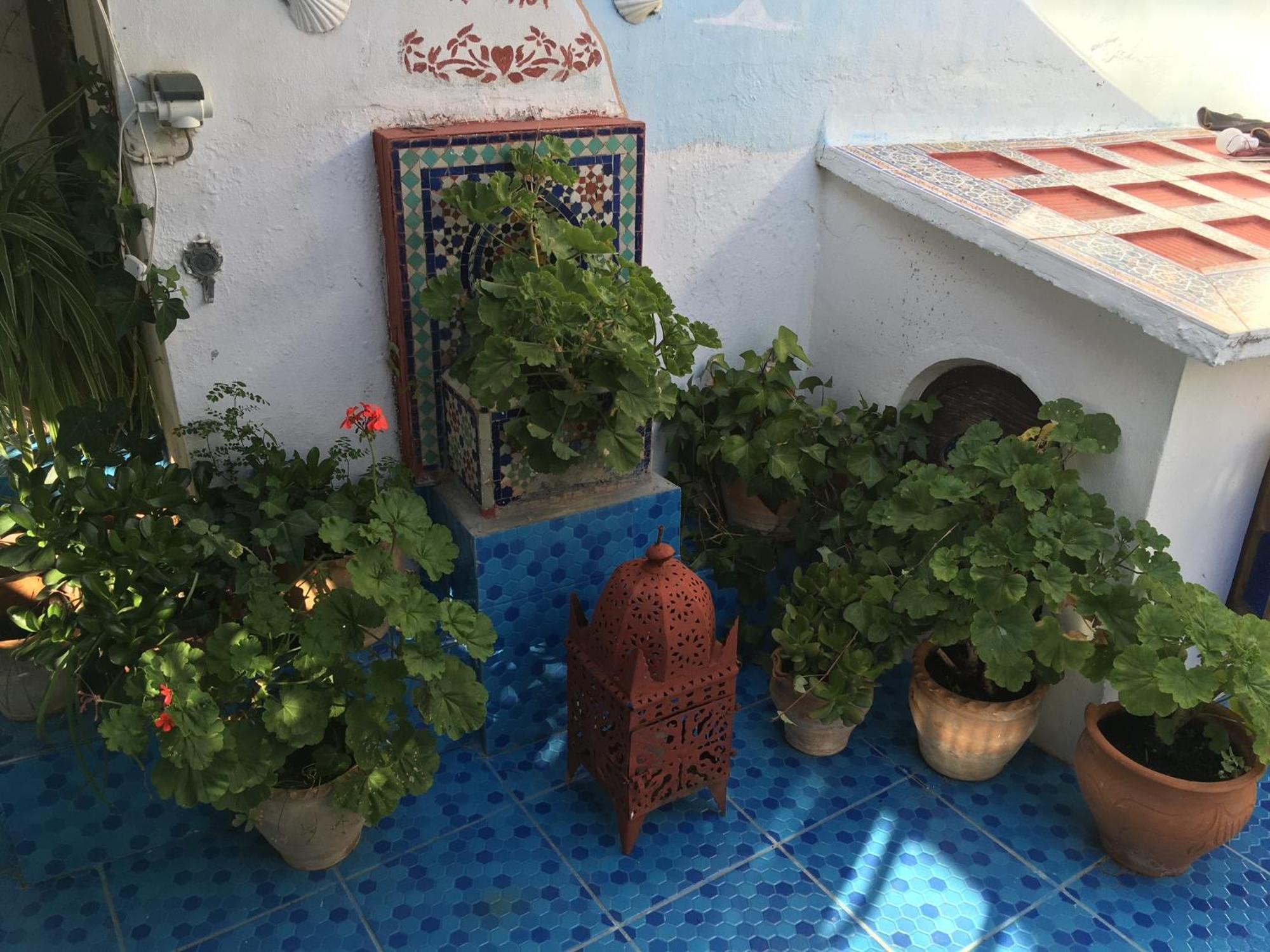Hathor ,Casa Marroqui Con Dos Terrazas En La Medina Antigua , Ideal Parejas!! Wifi!! アシラー エクステリア 写真